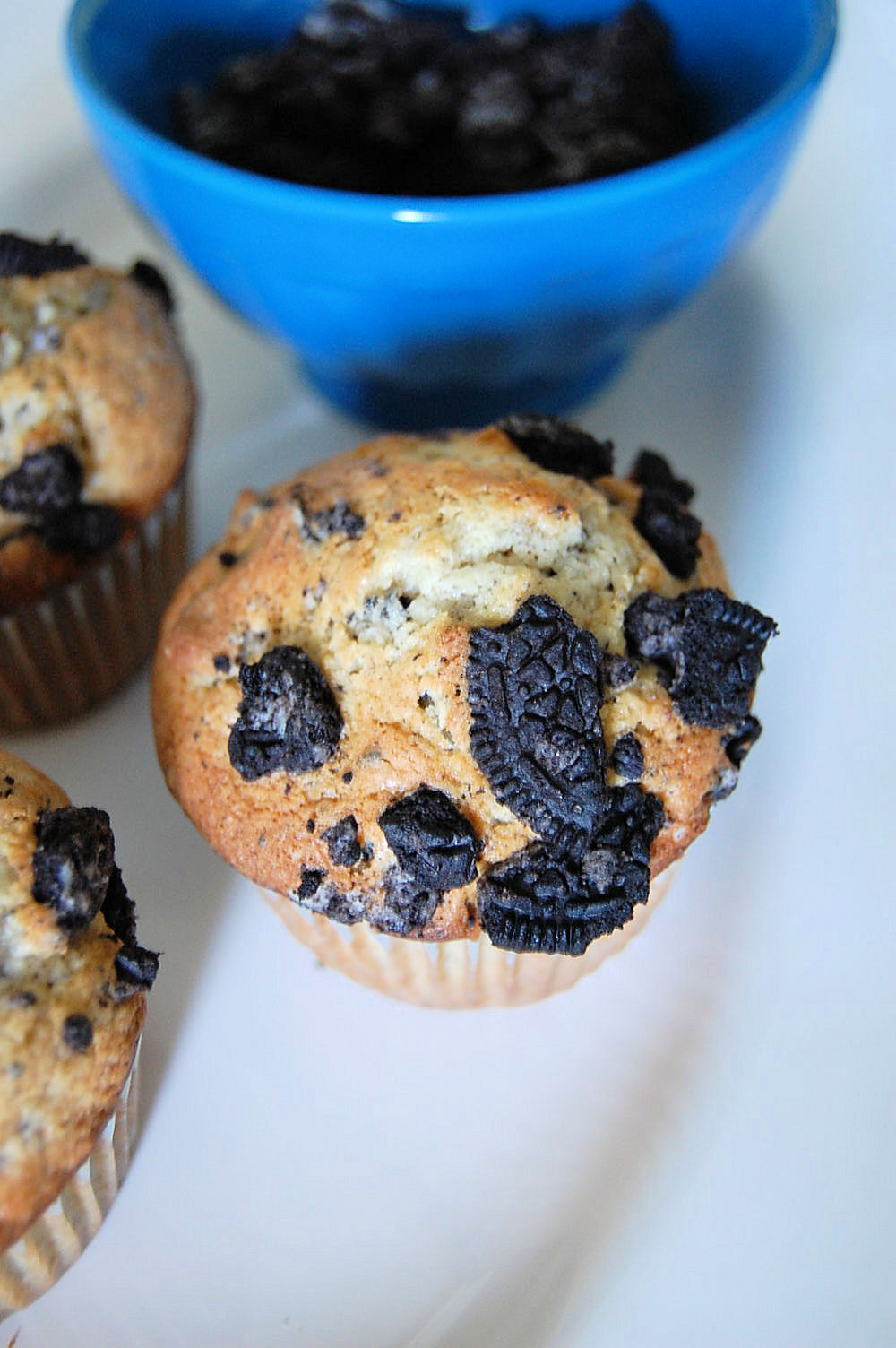 Hot Chocolate Oreo Muffins – Kitchen Belleicious