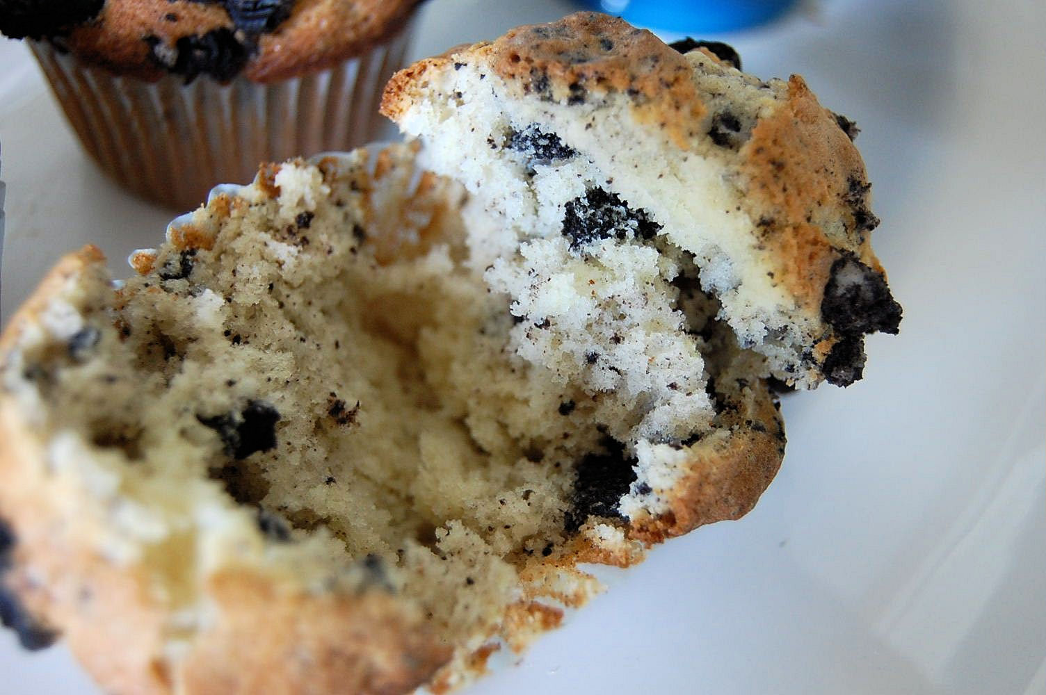 Hot Chocolate Oreo Muffins – Kitchen Belleicious