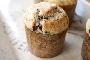 Dark Chocolate, Coconut and Sunflower Seed "Panettone"